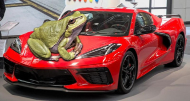 Corvette, future marque de SUV électrique
