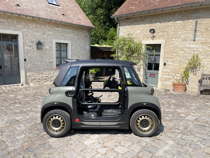 L'Ami Buggy est limitée à 300 exemplaires pour la France. Elle est vendue au prix unique de 10 490 €.