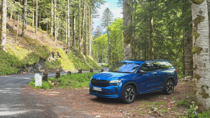 essai skoda kodiaq 2024 : dans le moule