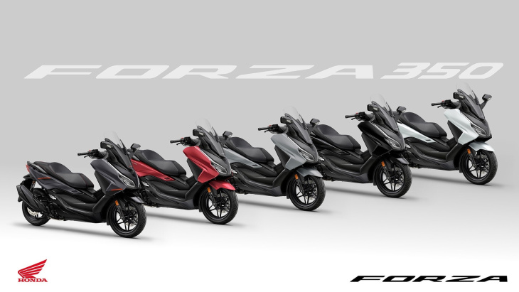 forza, honda, la gamme des scooters honda forza mise à jour pour 2025