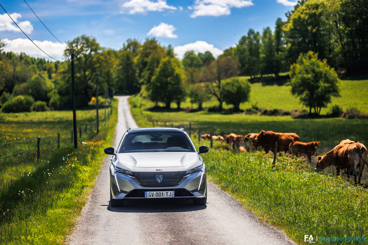 essai peugeot 308 sw 136 e-dcs6 : la patte du lion est toujours là