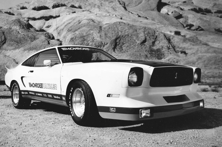 23 ford mustangs sauvages