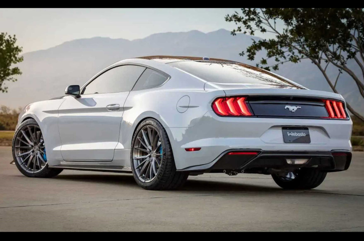 23 ford mustangs sauvages