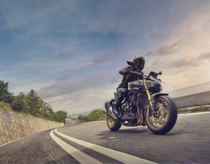 cb hornet, honda, la honda cb1000 hornet arrive enfin au catalogue !